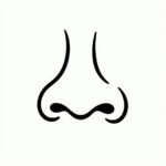 Jak narysować nos 3